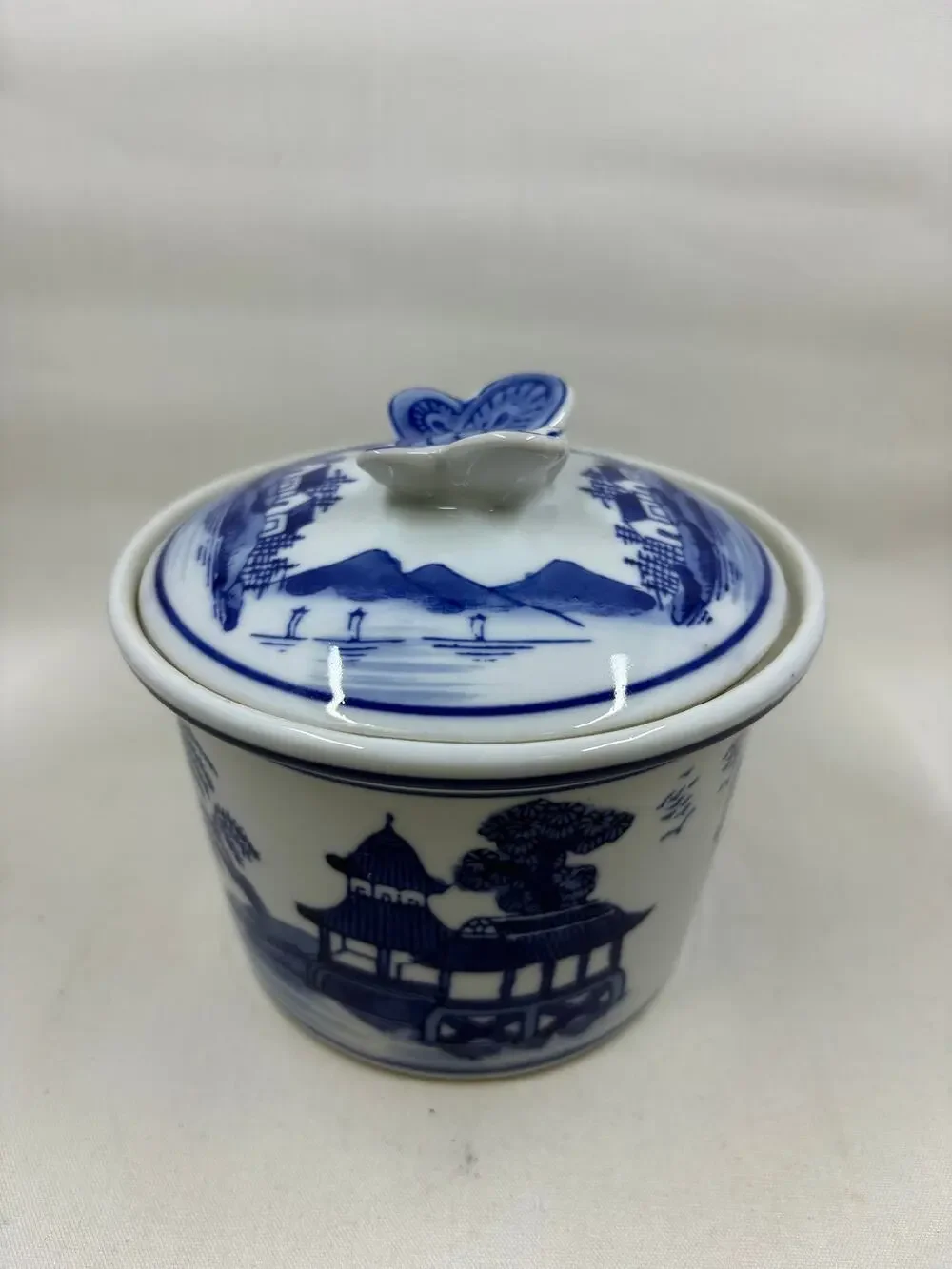 Blue & White Chinese Porcelain Covered Ginger Jar Canister
